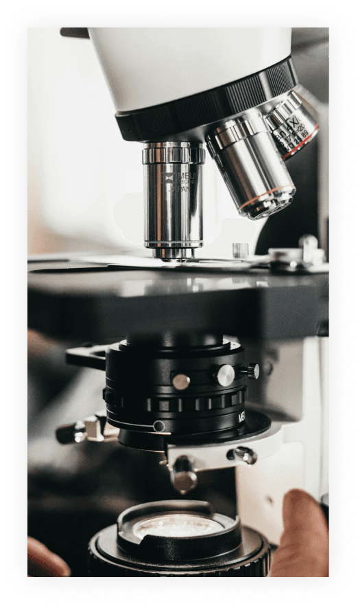 Lab